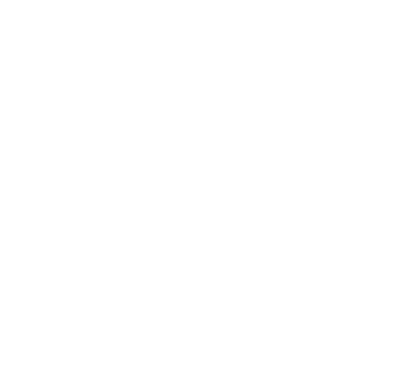 Regiony